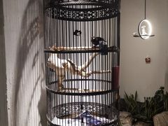 -清真·京华源铜锅涮肉(丰庆店)