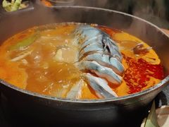 -大龙燚·旷野鲜火锅(广州首店)