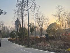 -东平国家森林公园
