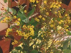 -ChaKo Flora ·茶子花艺 (市北店)