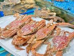 -粤盛海鲜平价店(洛溪食街店)