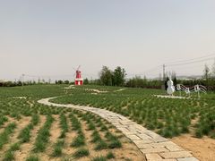 -羊亭河湿地公园