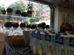 -志龙皇冠吃货椰子铺