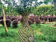 -武汉紫薇都市田园