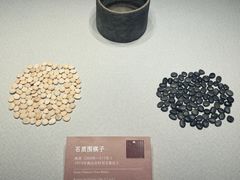 -邹城博物馆