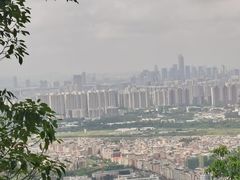 -火炉山森林公园