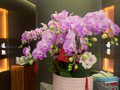 -忆家名门·上海菜(徐家汇店)