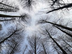 -山王坪喀斯特国家生态公园