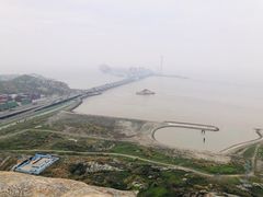 -洋山深水港