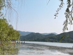 -鸣鹤古镇