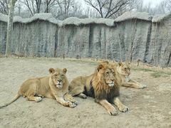 -北京野生动物园