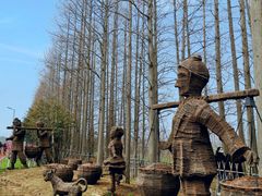 -上海长兴岛郊野公园
