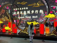 -福苗小骆驼烧烤(大唐不夜城店)