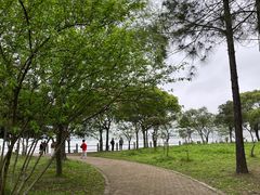 -无锡蠡湖国家湿地公园-蠡园