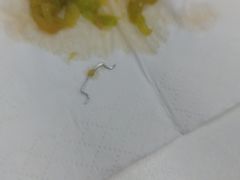 -宏状元现熬粥·京味菜(三里河店)