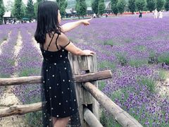 -金城大酒店-中餐厅(汾江中路店)