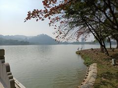 -顺峰山公园