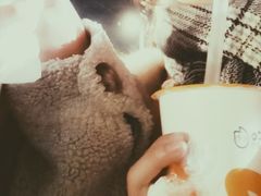 -CoCo都可(江宁托乐嘉店)