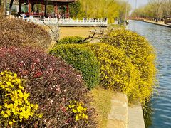 -元大都城垣遗址公园