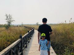 景点-野鸭湖国家湿地公园