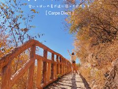 -圣莲山风景区