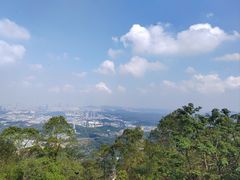 -水濂山森林公园