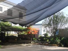 -华园农庄·特色炭烧鸡·北江河鲜