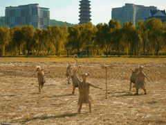 -长兴太湖图影湿地文化园