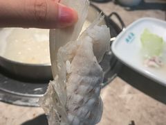 鱼翅-淘米捞·米汤脆鲩鱼火锅(福田皇岗店)