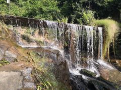 -东莞市大岭山森林公园