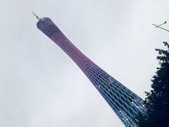 -赏点粤式点心(广州塔店)