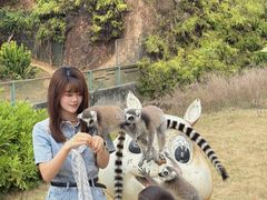 -泉州海丝野生动物世界