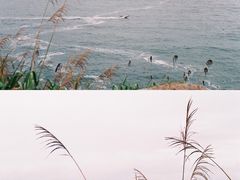 -东极岛景区