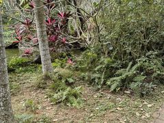 -海南热带野生动植物园