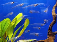 -上海海洋水族馆