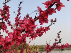 -上海市保健医疗中心