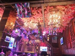 -喜鹊音乐酒馆(西街店)