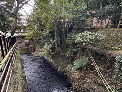 -来宫神社