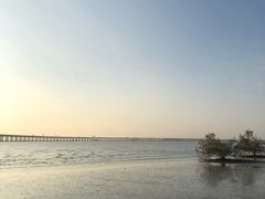 -宝安西湾红树林湿地公园