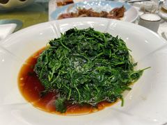 酒香金花菜-同济大酒店(绿宝广场店)