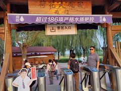 -白洋淀景区