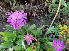 -白草畔自然风景区