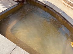 -三江森林温泉度假区