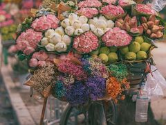 -花未央花店·WEYOUNG