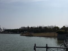 -上海都市菜园