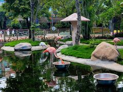 -灵玲国际马戏城