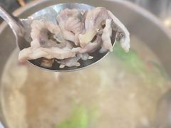 -鸽鸟轩(石岐店)