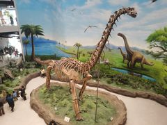 -辽宁古生物博物馆