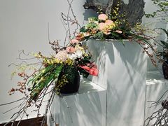 -汇龙潭