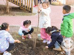 -北科婴幼学苑
